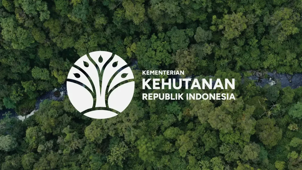 Ministry of Forestry Information Hub